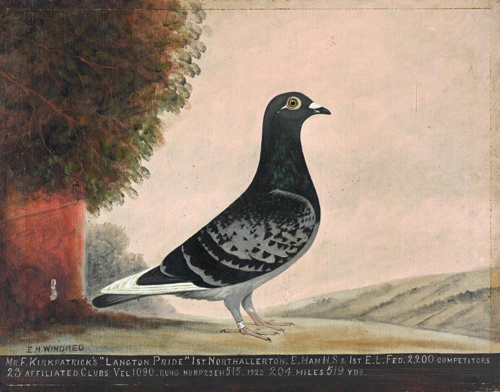 edward henry windred british 1875 1953 · Kinghams Auctioneers · 2024-12-06 Edward Henry Windred comparable auction result: edward henry windred british 1875 1953