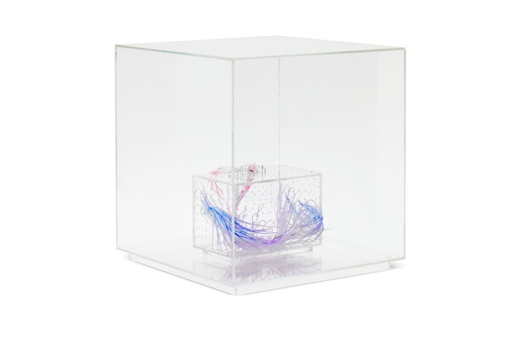 David Altmejd comparable auction result: david altmejd n en 1974 sans titre fils de coton et acrylique dans une b