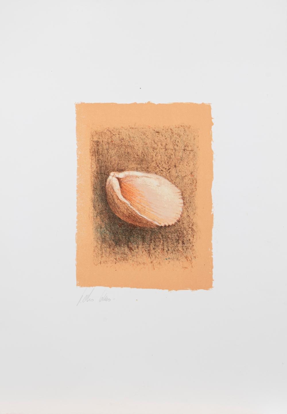 Pedro Cano Hernández comparable auction result: pedro cano blanca 1944 shell