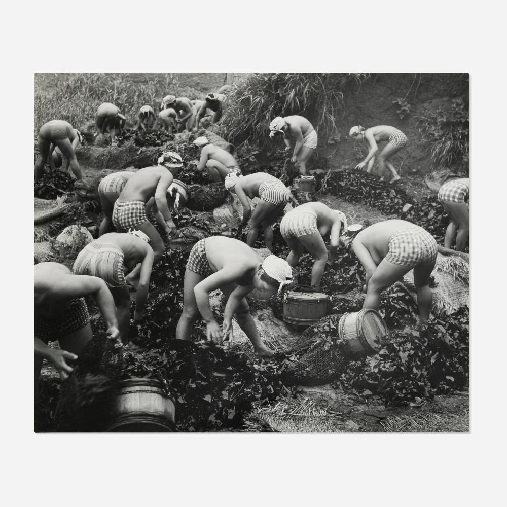 Yoshiyuki Iwase comparable auction result: yoshiyuki iwase seaweed harvest