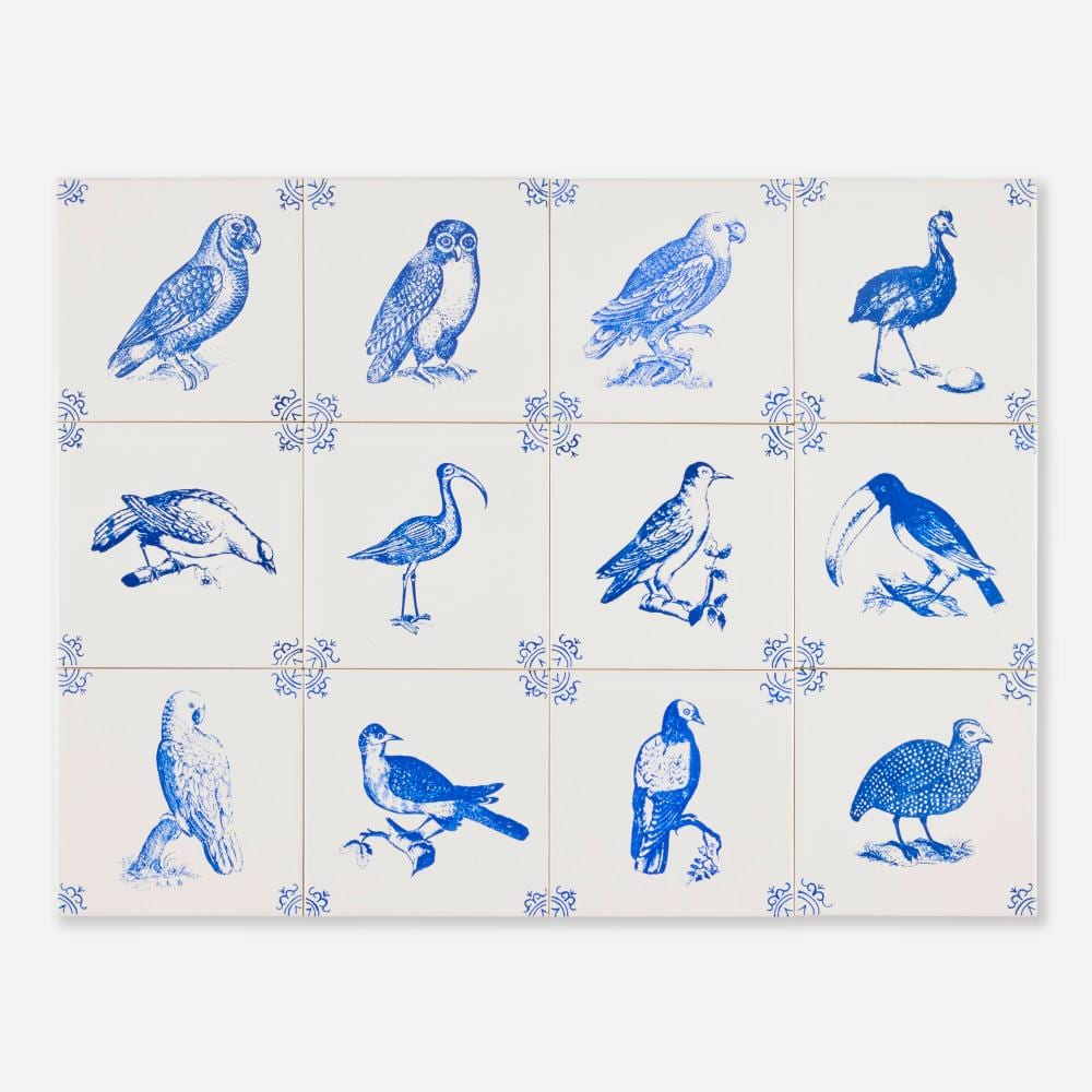 Mark Dion comparable auction result: mark dion birds of antwerp