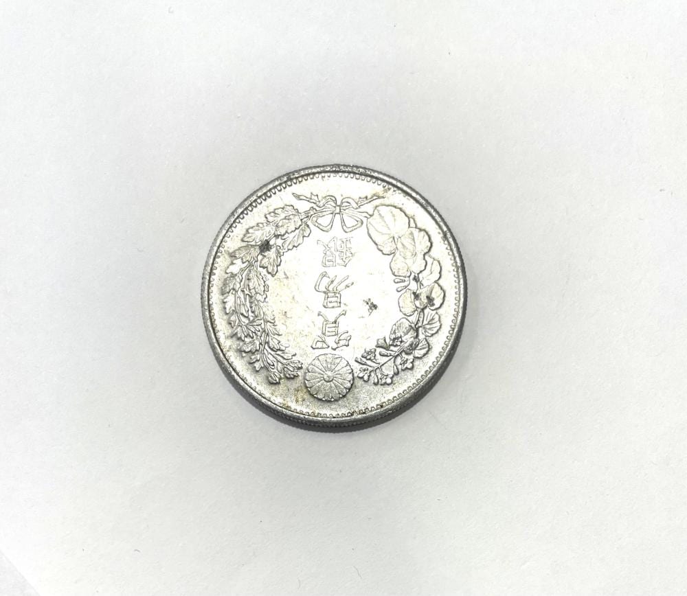 Close-up of a round silver-toned coin with floral designs and a decorative border, centered on a white background.