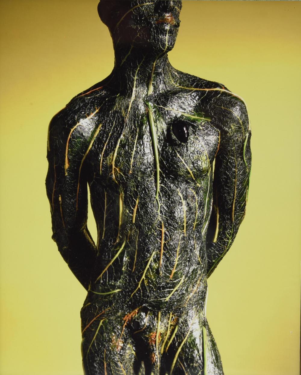 Robert Gligorov comparable auction result: robert gligorov 1959 vegeto vegetalis 1999 stam