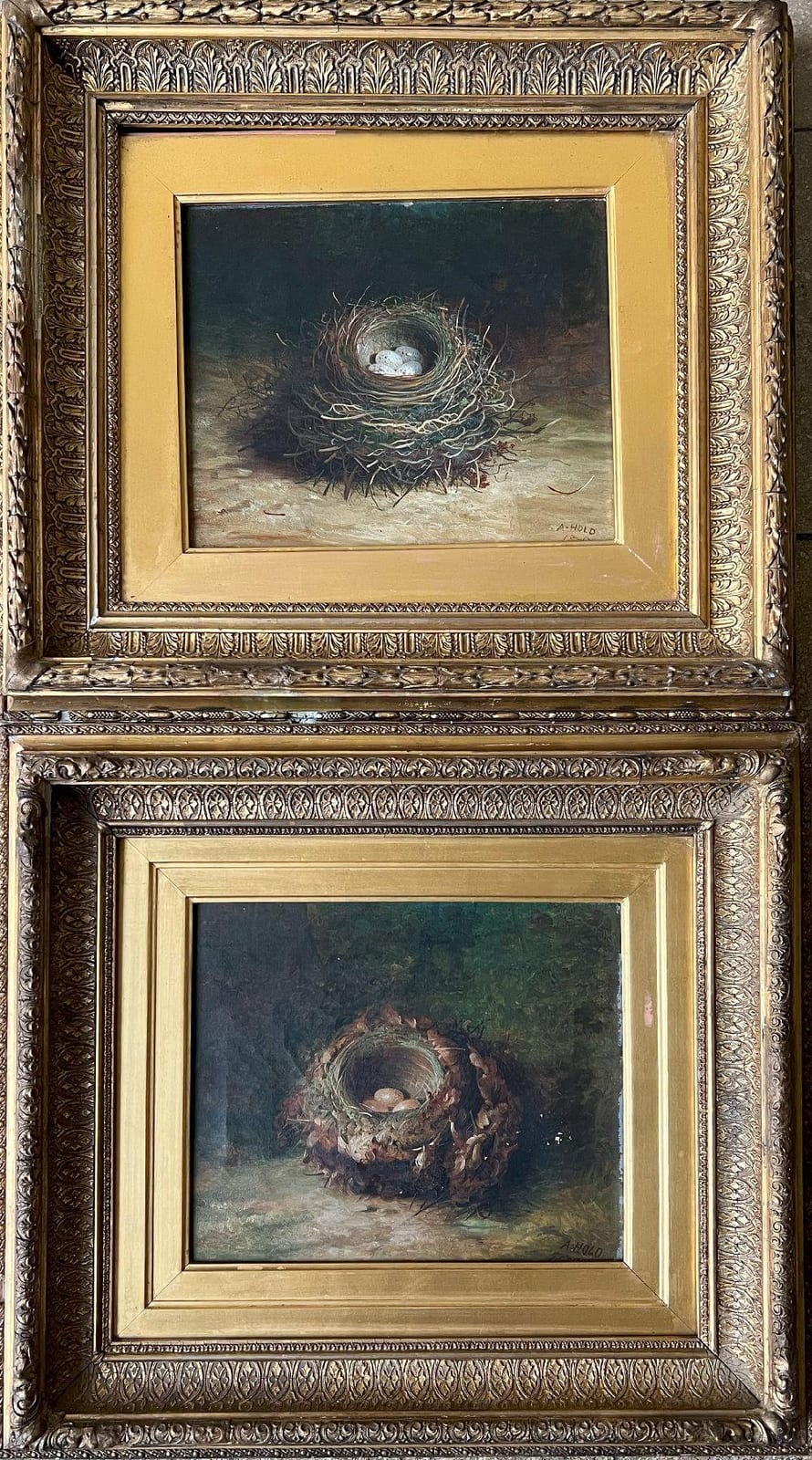 abel hold 1815 1891 paar bilder mit vogelnestern signiert und datiert l lwd altersspuren ca · Auktionshaus Mars · 2025-02-22 Abel Hold comparable auction result: abel hold 1815 1891 paar bilder mit vogelnestern signiert und datiert l lwd altersspuren ca