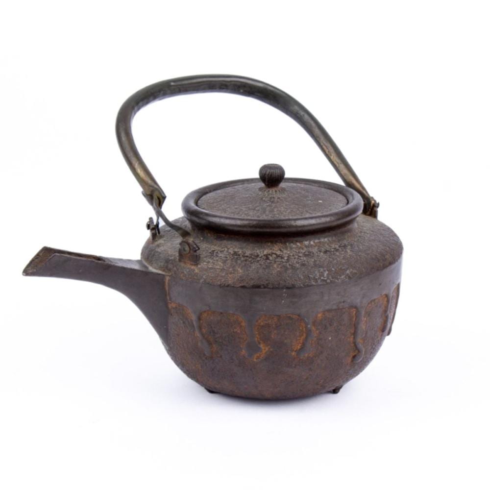 Rusty cast-iron Japanese-style kettle (tetsubin) with arched handle and round lid knob on a white background.