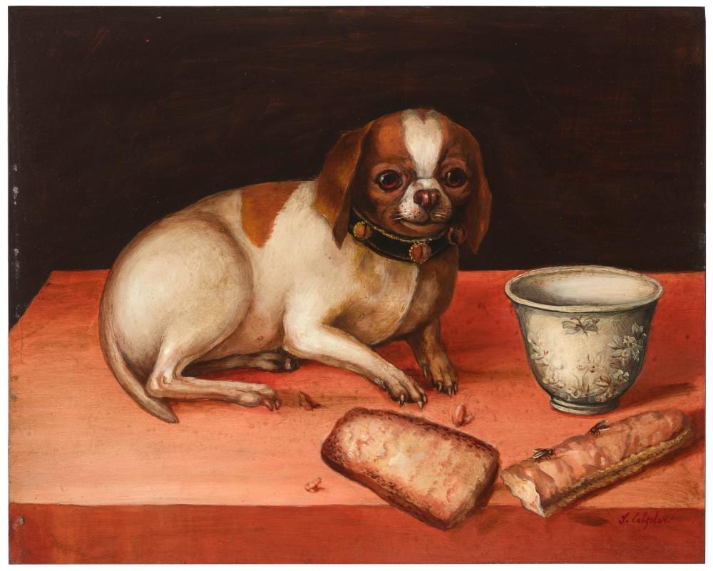 ida Calzolari comparable auction result: ida calzolari b 1936 after giovanna garzoni a small dog seated on a ta