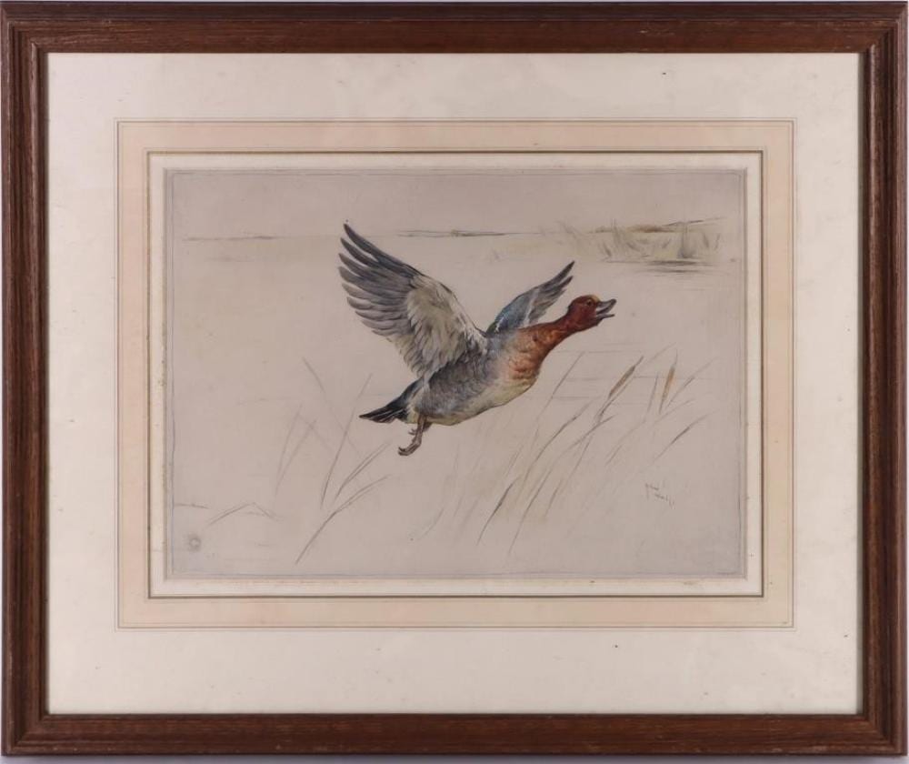 Arthur Wardle comparable auction result: arthur wardle widgeon pencil watercolor framed