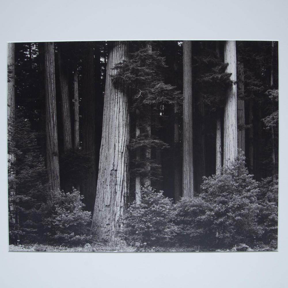 Pierre Charrier comparable auction result: pierre charrier original black white photograph on board