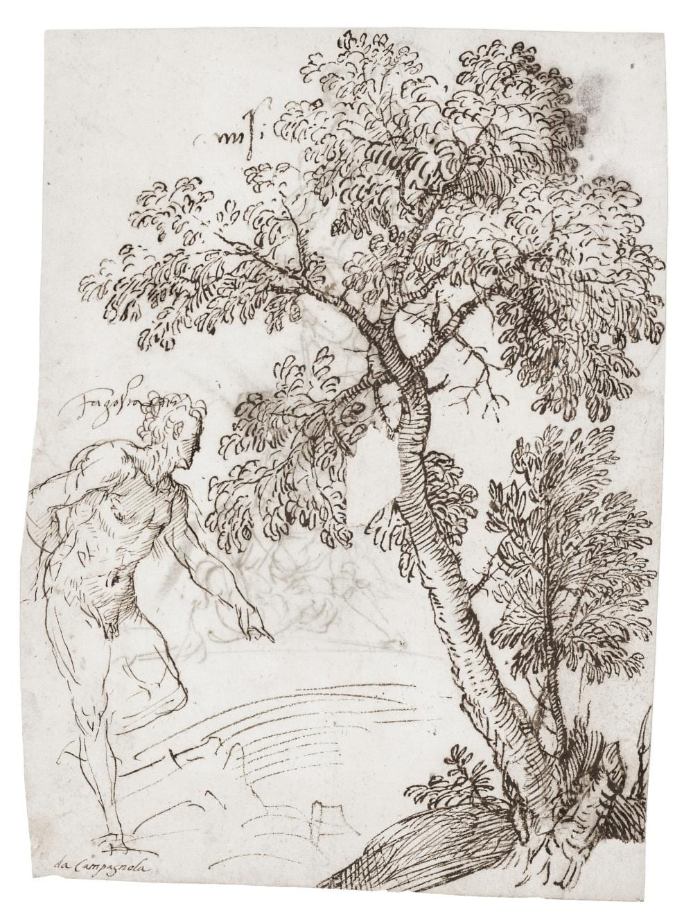 Domenico Campagnola comparable auction result: domenico campagnola padua 1500 1564 study of a male nude and a tree rec
