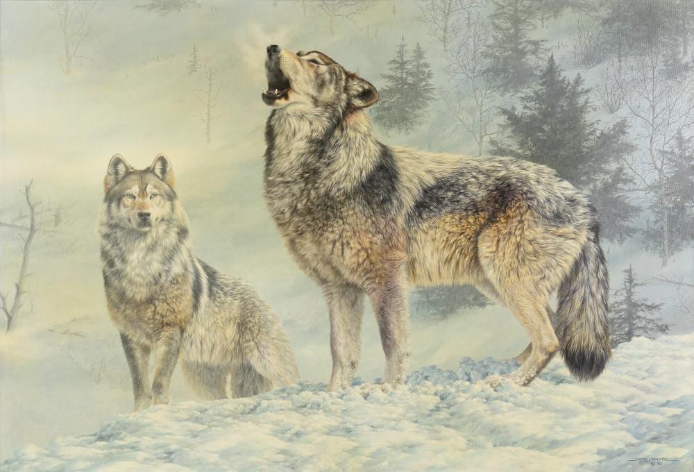 Jorge Mayol comparable auction result: jorge mayol 1948 solo singer gray wolves 1990