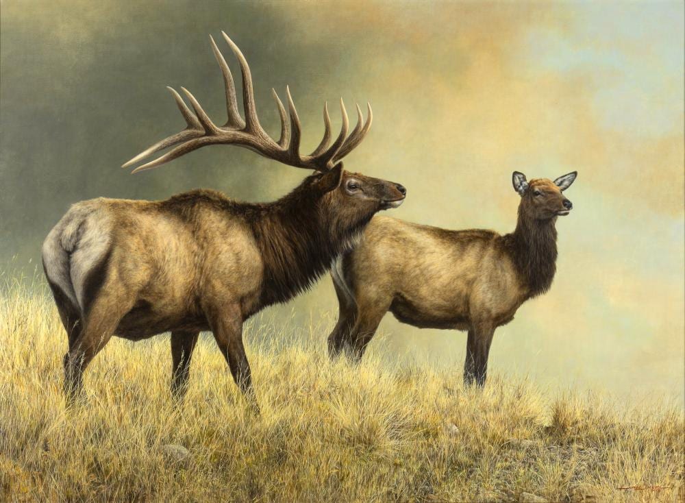 Jorge Mayol comparable auction result: jorge mayol 1948 wyoming elk 2001