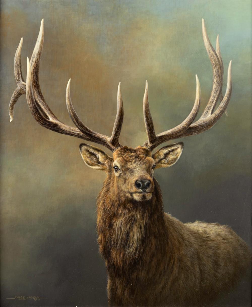 Jorge Mayol comparable auction result: jorge mayol 1948 bull elk 2001