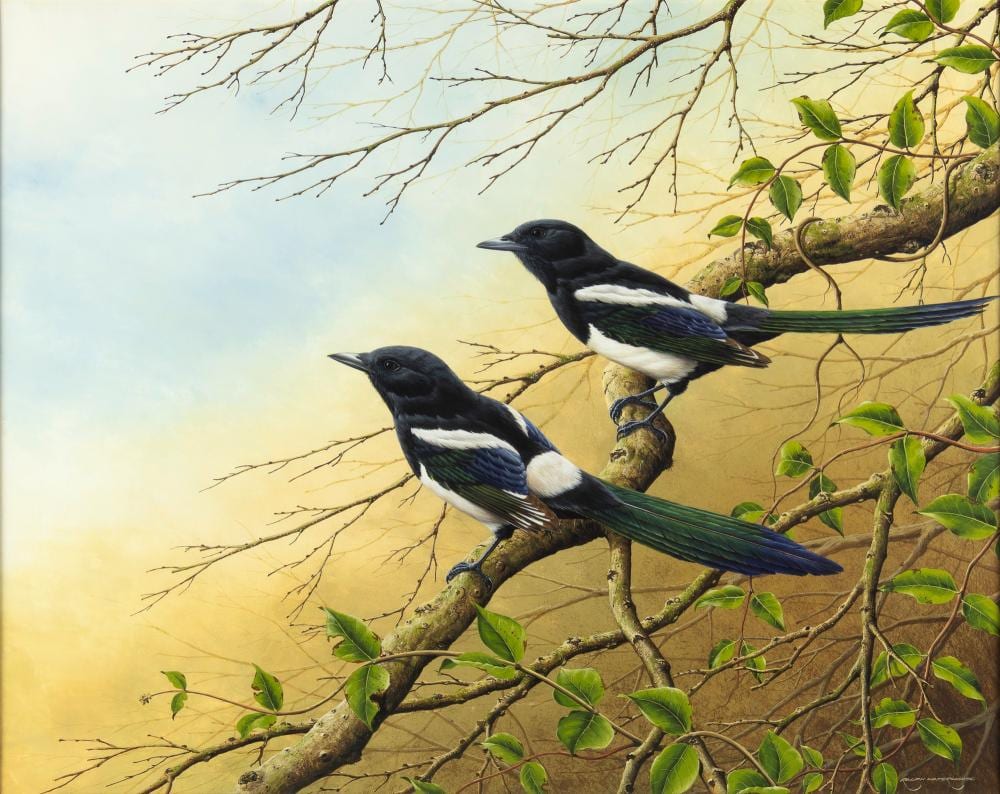 ralph waterhouse 1943 magpies · Jackson Hole Art Auction · 2025-02-15 Ralph Waterhouse comparable auction result: ralph waterhouse 1943 magpies
