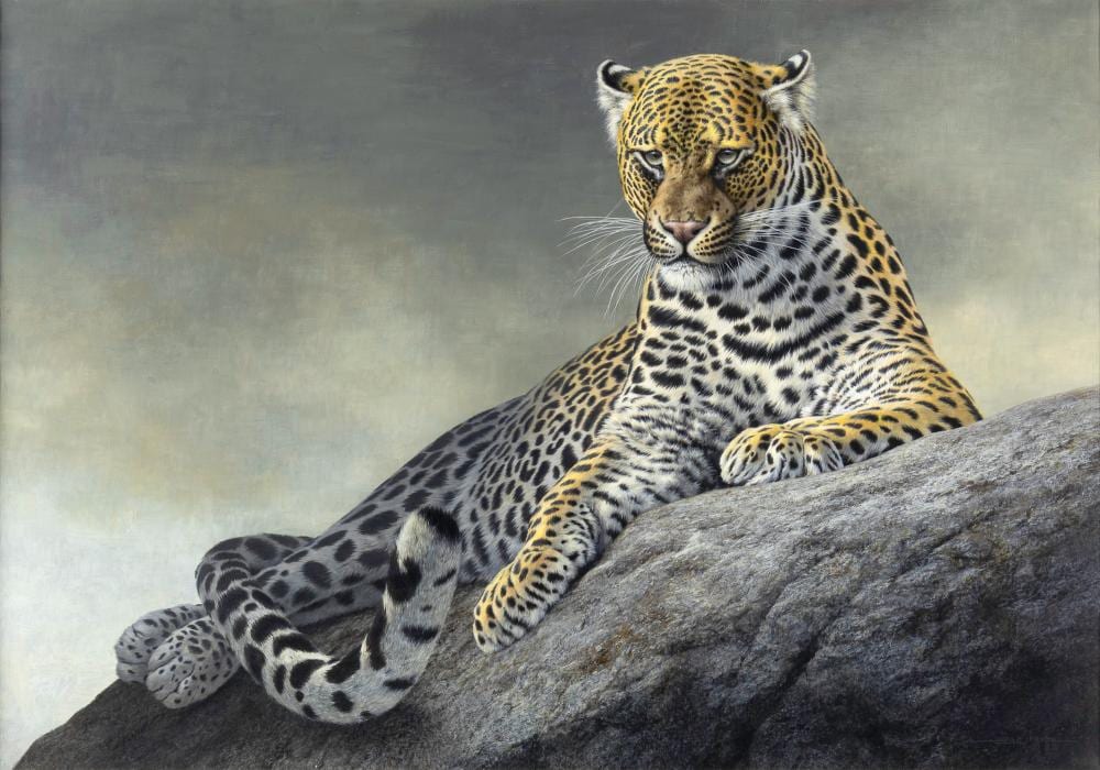 Jorge Mayol comparable auction result: jorge mayol 1948 powerful presence leopard 1997