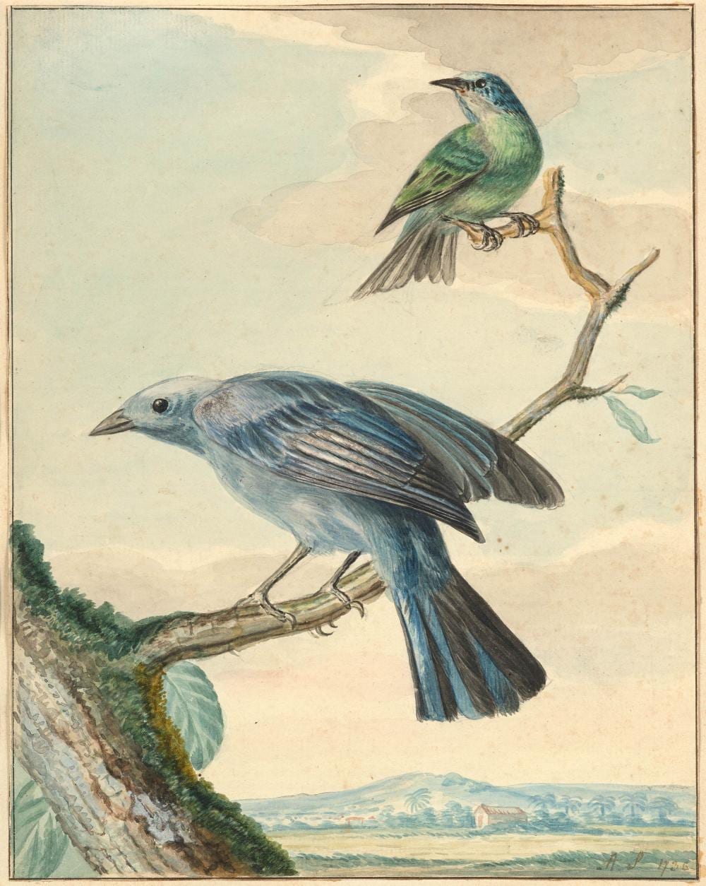 Aert Schouman comparable auction result: aert schouman