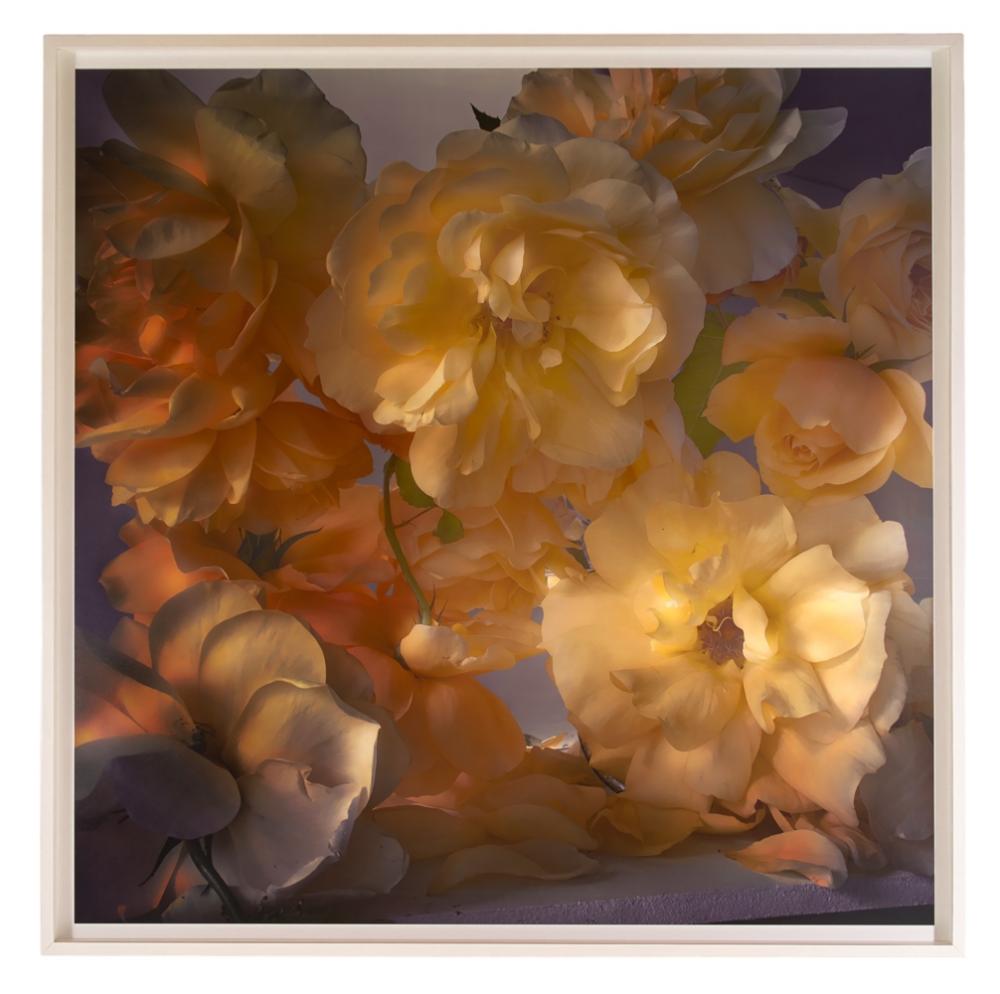Nick Knight comparable auction result: nick knight b 1958 monday 29th may 2017