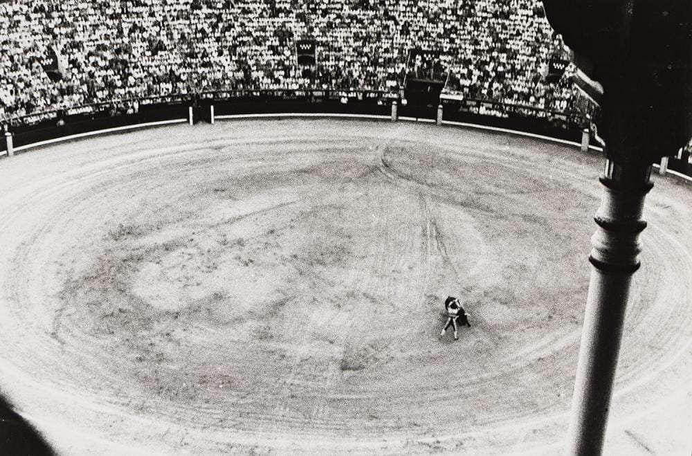 Zoe Leonard comparable auction result: zoe leonard 1961 bull fight 3 1986 printed 1990