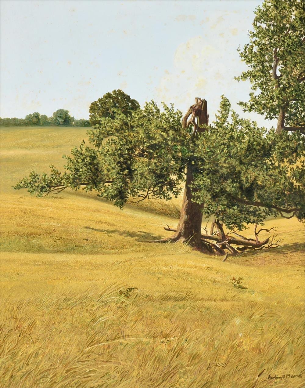 Anthony Martin comparable auction result: anthony martin american texas 1941 2019 broken tree 20th century