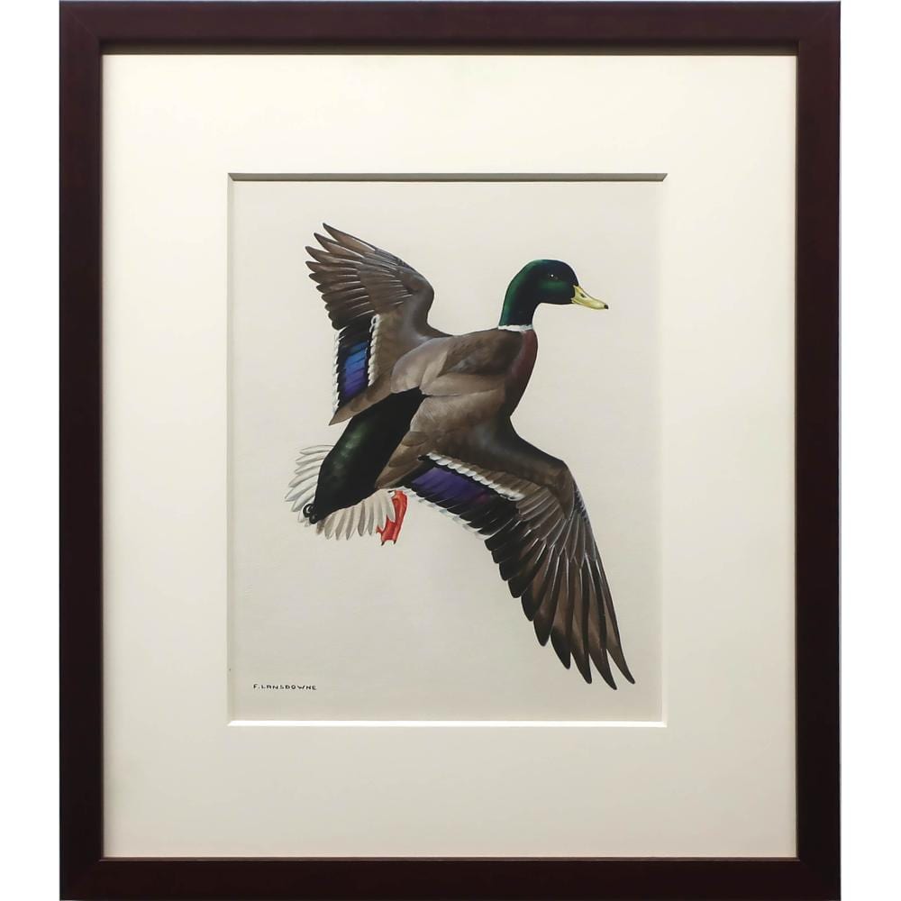 James Fenwick Lansdowne comparable auction result: james fenwick lansdowne canadian 1937 2008 mallard duck