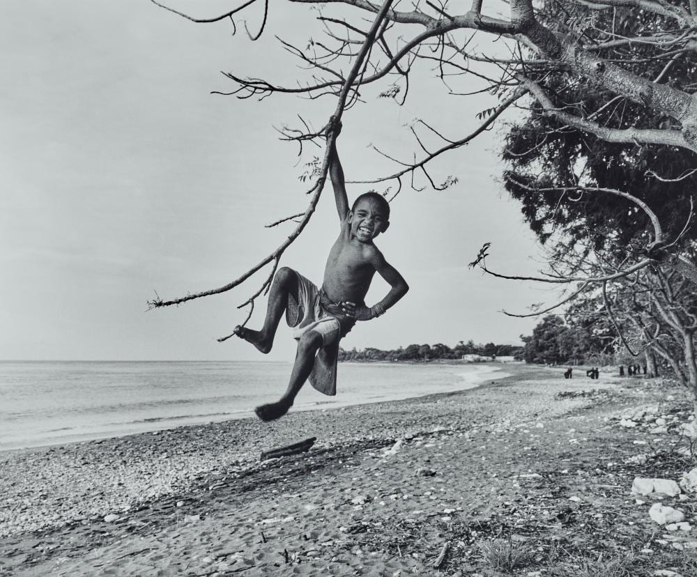 Jon Lewis comparable auction result: jon lewis born 1950 maubara east timor 2001
