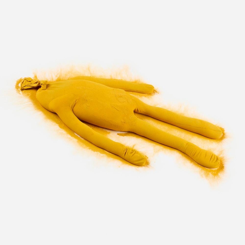 Ernesto Neto comparable auction result: ernesto neto o corpo sem orgaos