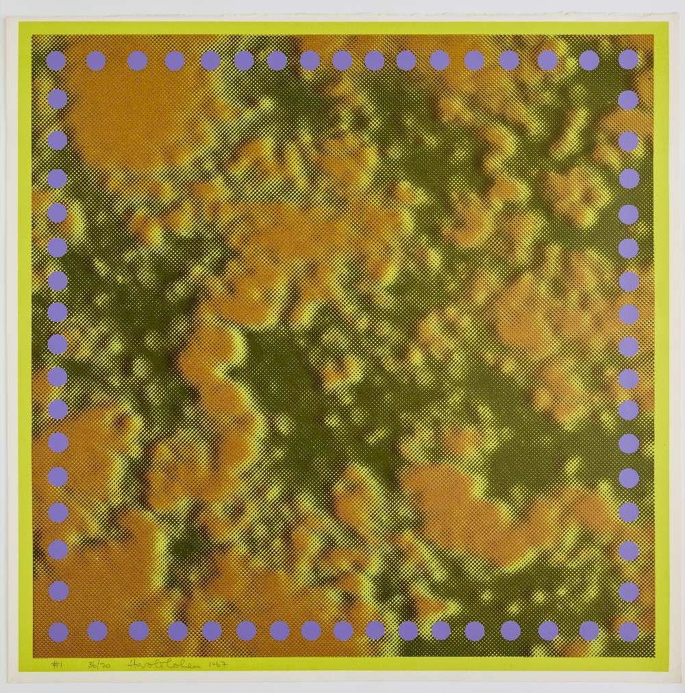 Harold Cohen comparable auction result: harold cohen screenprint 1 from the derrynan suite 1967