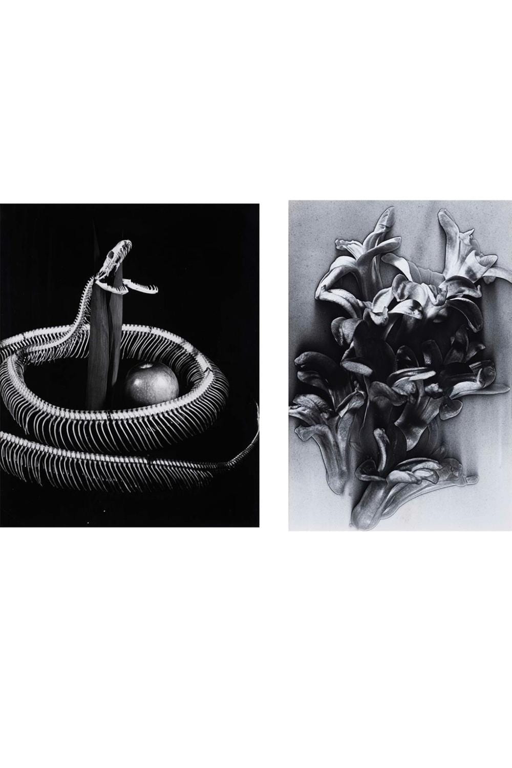pierre jahan 1909 2003 natures mortes c 1935 1950 · Piasa · 2025-02-19 Pierre Jahan comparable auction result: pierre jahan 1909 2003 natures mortes c 1935 1950