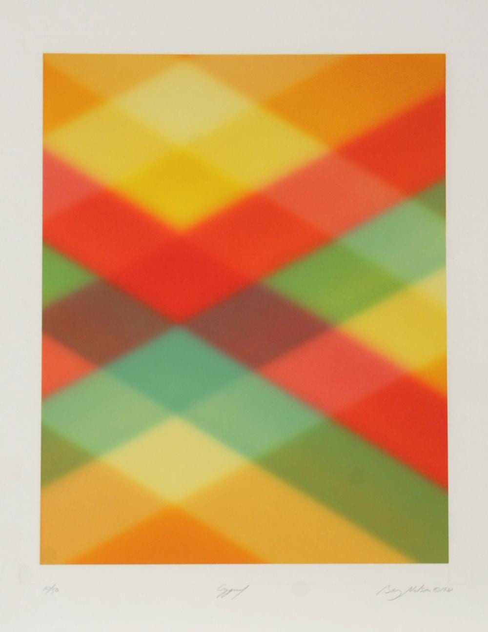 Barry Nelson comparable auction result: barry nelson cygnus etching with aquatint