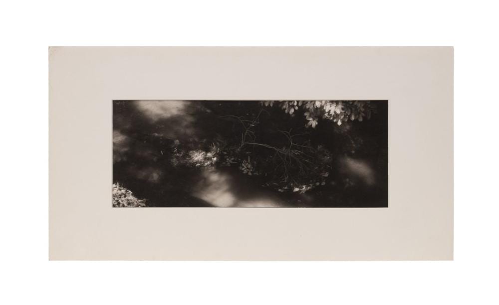 Lois Conner comparable auction result: lois conner kyoto japan platinum palladium print