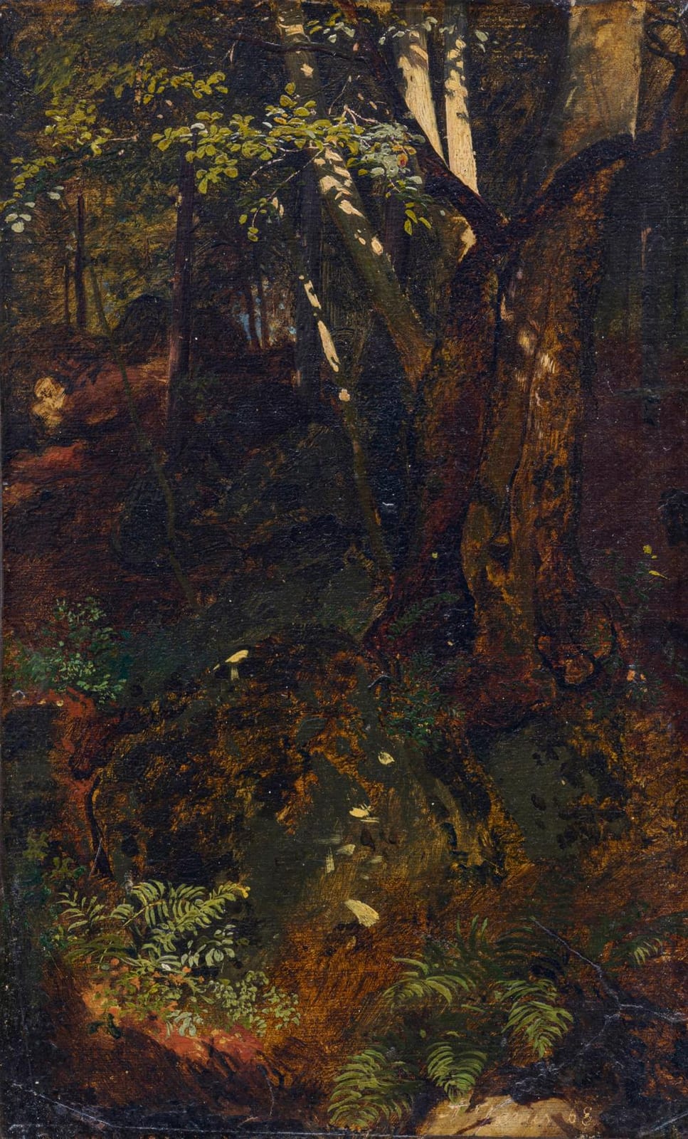 Albert Venus comparable auction result: franz albert venus waldst ck 1868