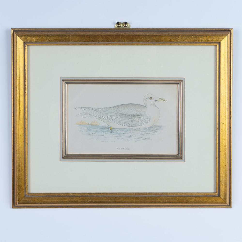 Francis Orpen Morris comparable auction result: francis orpen morris original color engraving on paper