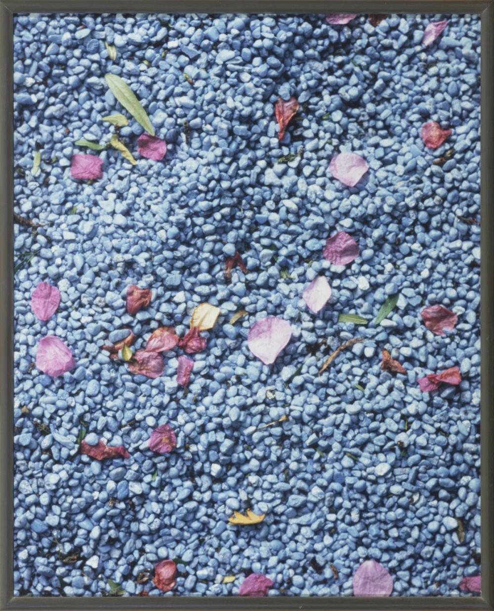 Daan van Golden comparable auction result: daan van golden dutch 1936 2017 agua azul 1987 2000