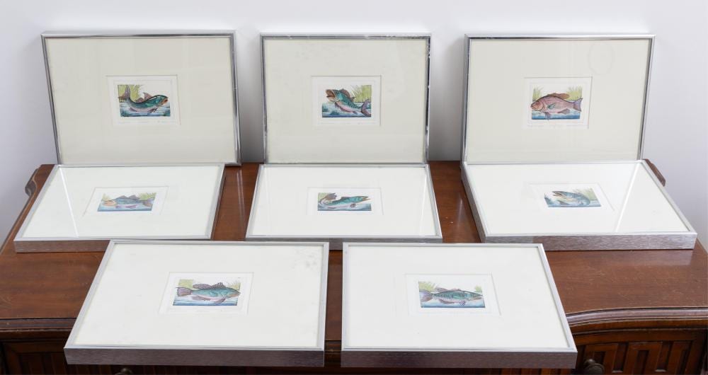 dan mitra eight various fish hand coloured etchings 5 5 x 8 5cm fram size 21 x 29cm · Lawsons · 2025-02-25 Dan Mitra comparable auction result: dan mitra eight various fish hand coloured etchings 5 5 x 8 5cm fram size 21 x 29cm