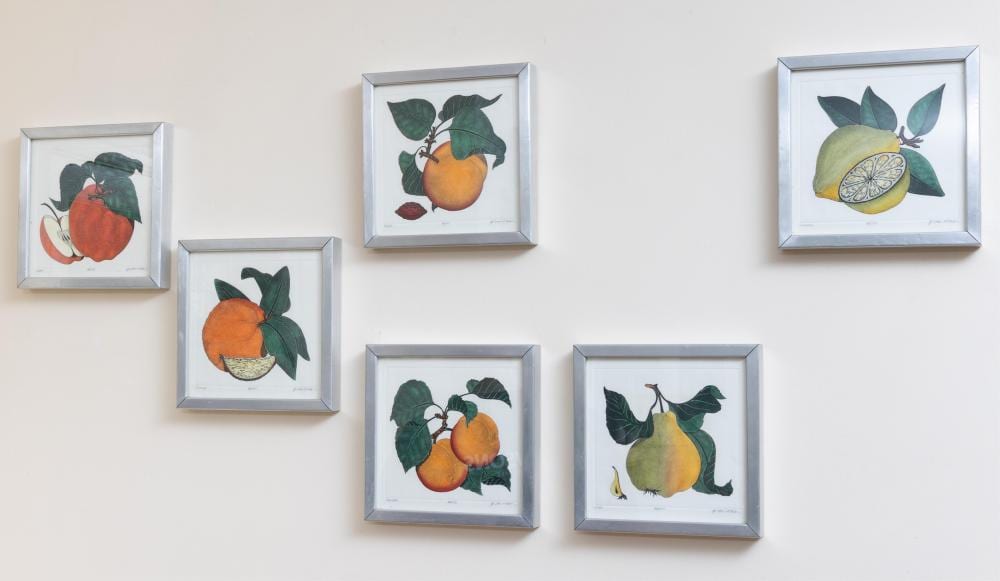 dan mitra six hand coloured fruit studies etching 19 x 19 frame size 25 5 x 25 5cm · Lawsons · 2025-02-25 Dan Mitra comparable auction result: dan mitra six hand coloured fruit studies etching 19 x 19 frame size 25 5 x 25 5cm