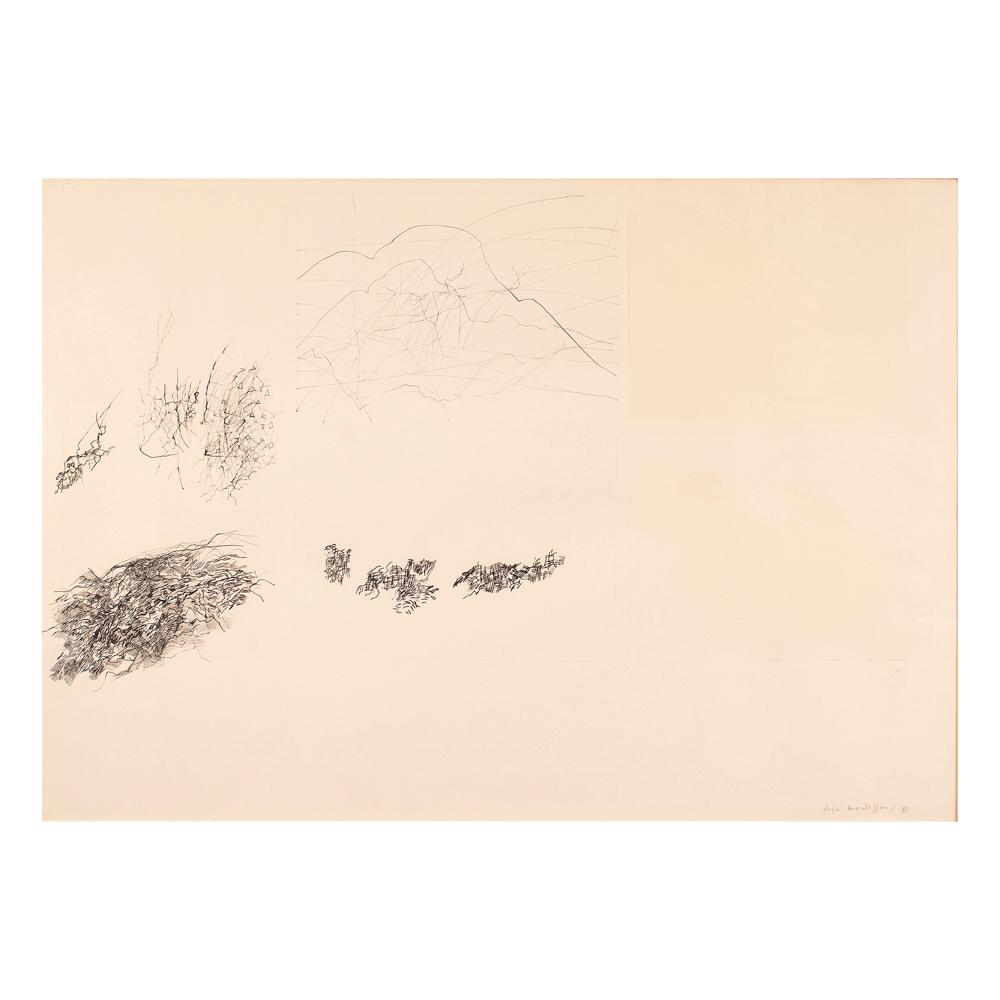 Elisa Montessori comparable auction result: elisa montessori