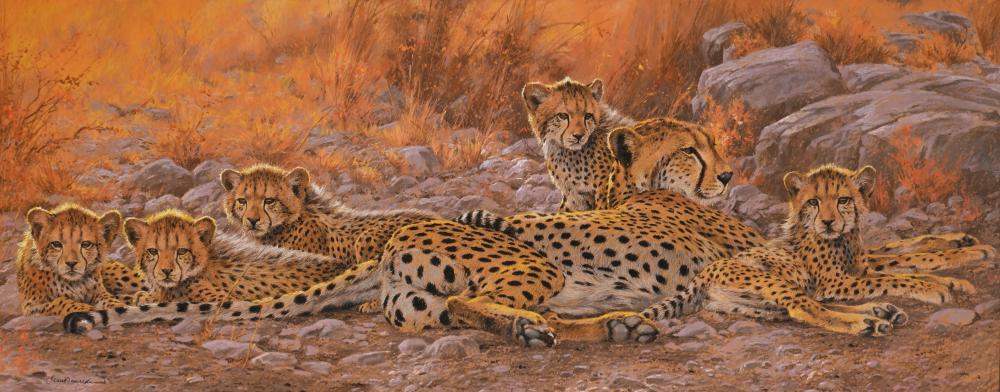 Kim (1952) Donaldson comparable auction result: kim donaldson zimbabwean b 1952 cheetah family