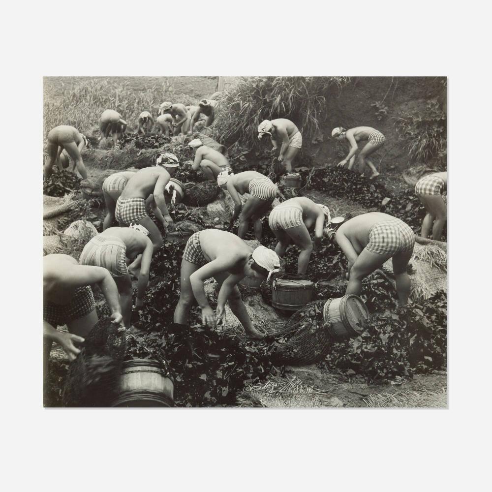 Yoshiyuki Iwase comparable auction result: yoshiyuki iwase seaweed harvest