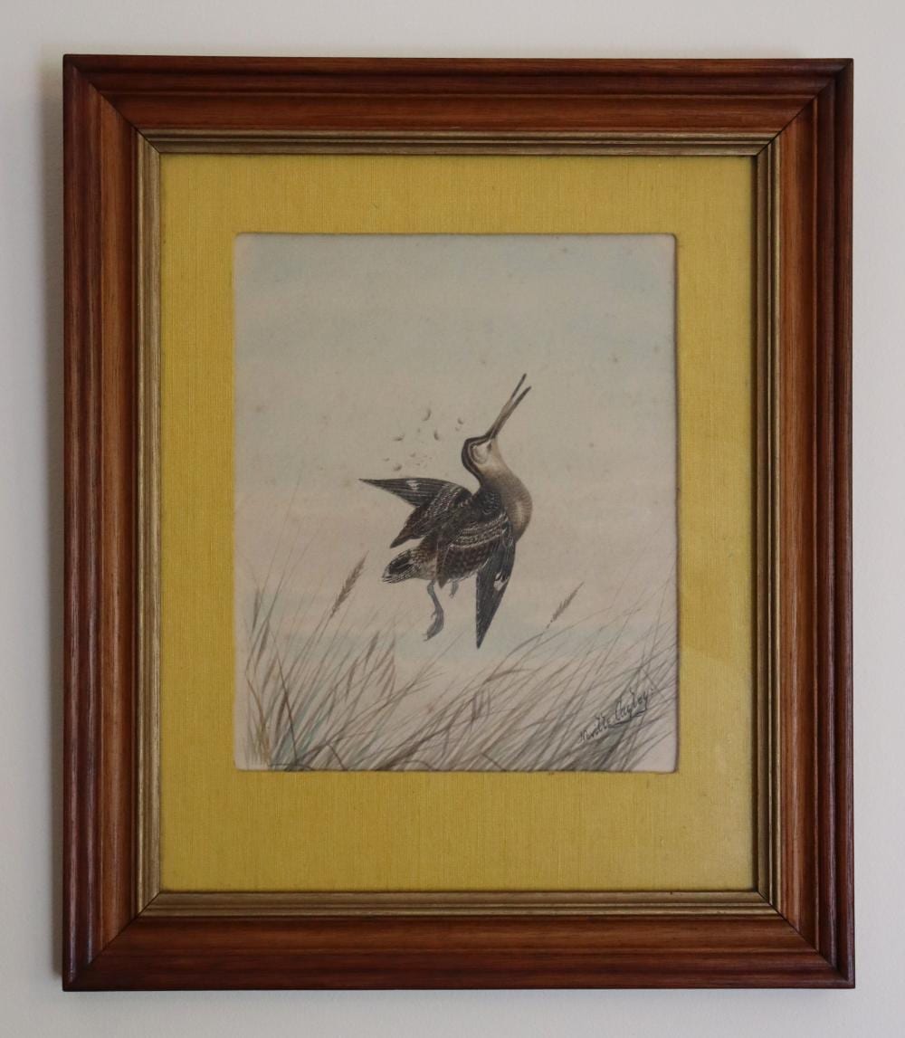 Neville (1886) Cayley comparable auction result: neville william cayley australian 1887 1950 snipe water colour signed lower right approx 20cm x 24cm