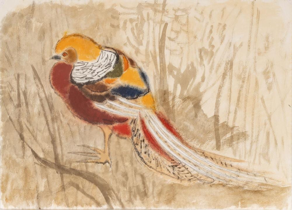 Charles Culver comparable auction result: charles culver american 1908 1967 watercolor and pastel on paper 1960s golden pheasant h 22 5 w 31 8