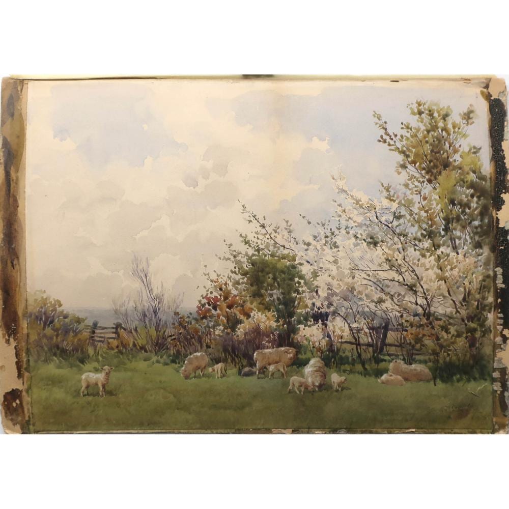 charles macdonald manly canadian 1855 1924 untitled sheep grazing and resting · Waddington's · 2025-03-06 Charles MacDonald Manly comparable auction result: charles macdonald manly canadian 1855 1924 untitled sheep grazing and resting