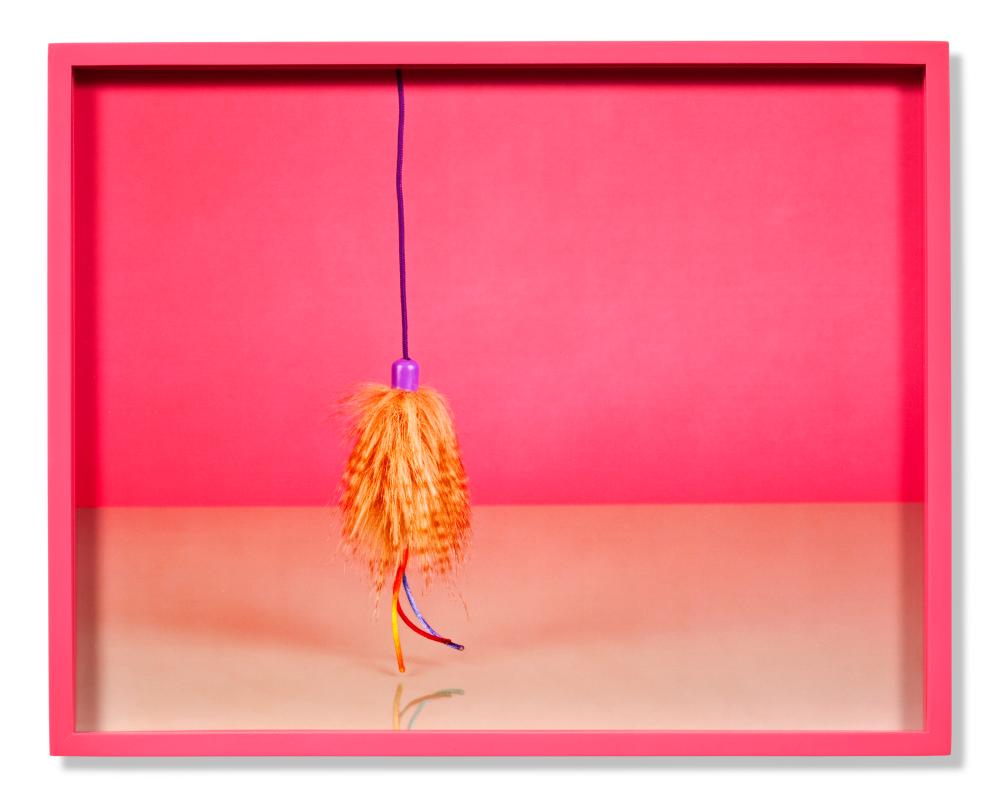 Elad Lassry comparable auction result: elad lassry b 1977 cat toy a chromogenic print in painted artist s fr