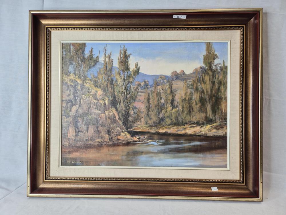 patricia pat murphy australian working 1980s the turon oil on board 45 x 60 cm 17 7 x 23 6 in frame 64 x 79 cm 25 2 x 31 1 in · Bargain Hunt Auctions · 2025-03-06 Patricia Cunningham comparable auction result: patricia pat murphy australian working 1980s the turon oil on board 45 x 60 cm 17 7 x 23 6 in frame 64 x 79 cm 25 2 x 31 1 in