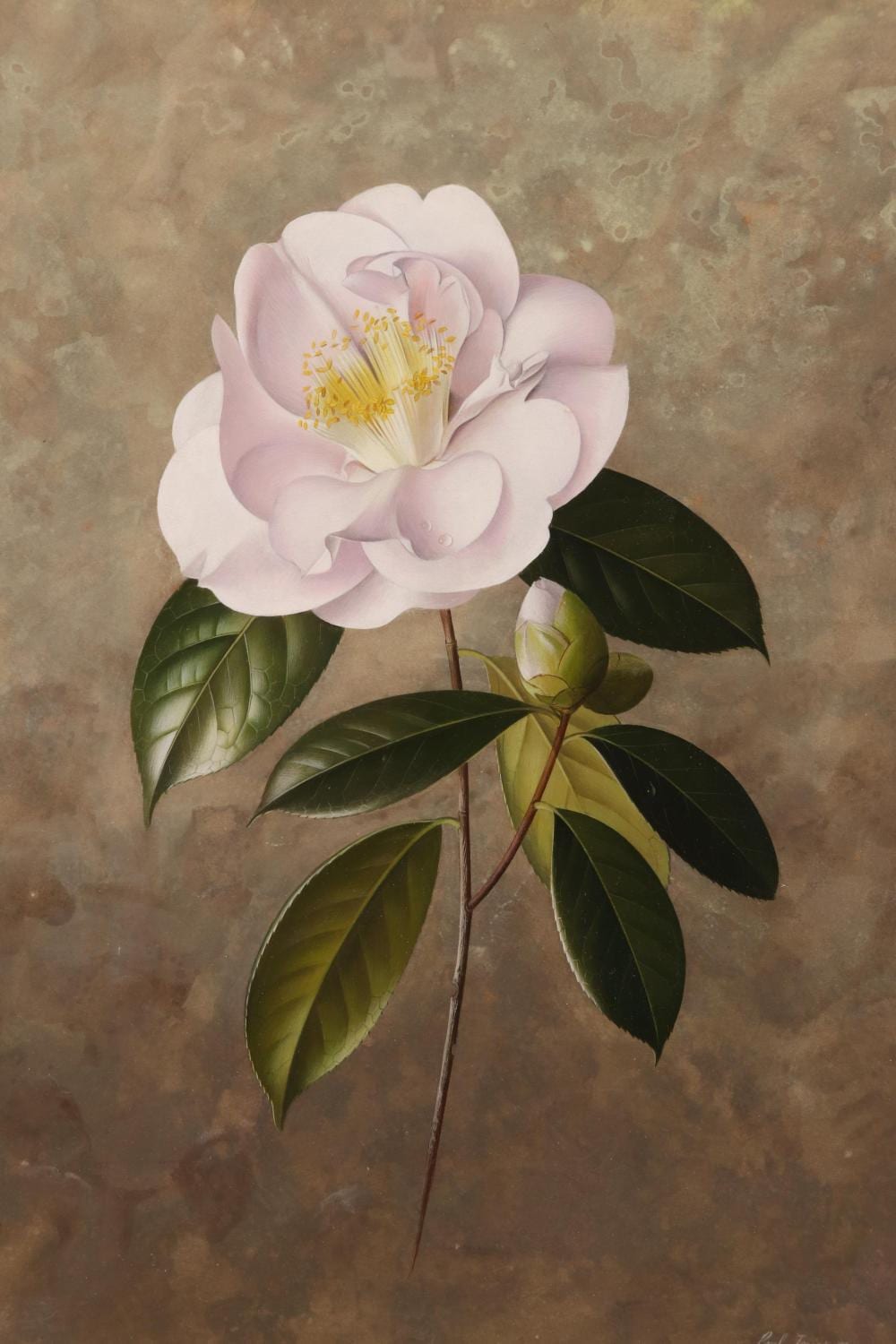 Paul (1921) Jones comparable auction result: paul osborne jones 1921 1997