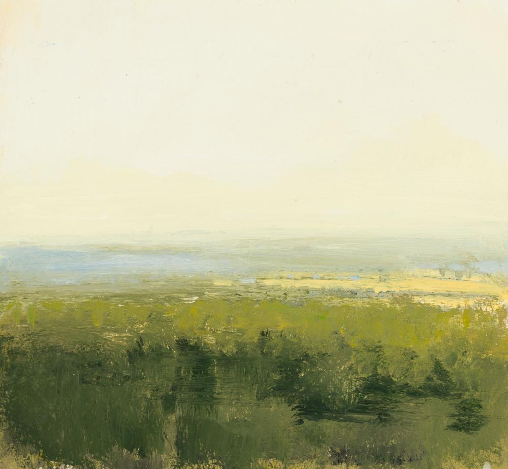 Eric Aho comparable auction result: eric aho am b 1966 hcp 2 2005 acrylic on paper framed under glass