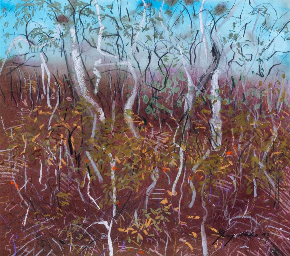 Gary Miles comparable auction result: gary miles born 1949 inland from mareeba north queensland series 1993