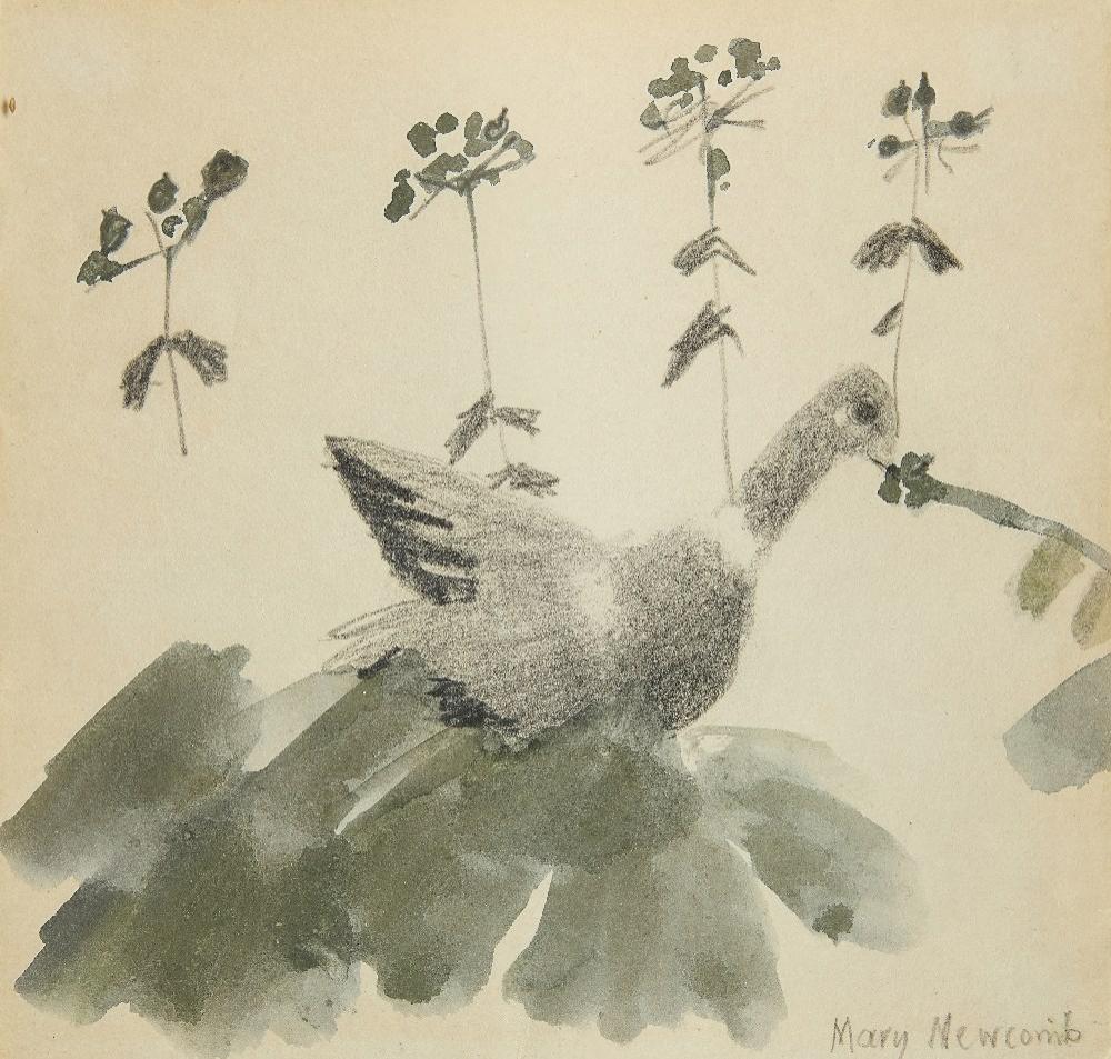 Mary Newcomb comparable auction result: mary newcomb british 1922 2008 resting dove c 1970 gouache on paper signed lower right