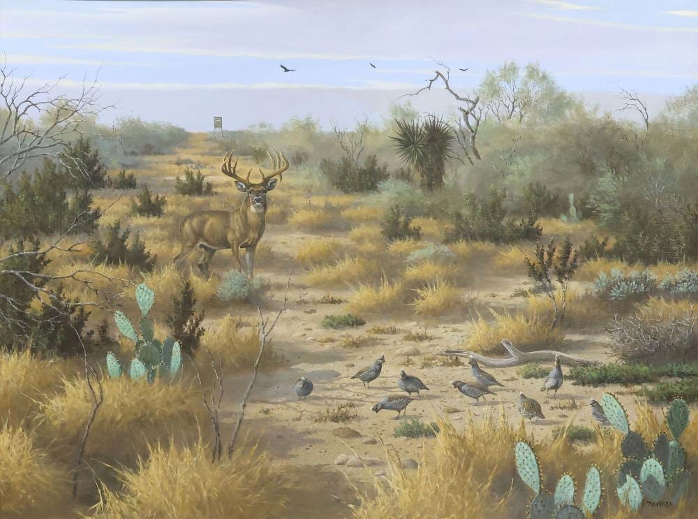 david drinkard 1948 2016 texas landscape stag quails 30 x 40 · Austin Auction Gallery · 2025-03-29 David Drinkard comparable auction result: david drinkard 1948 2016 texas landscape stag quails 30 x 40