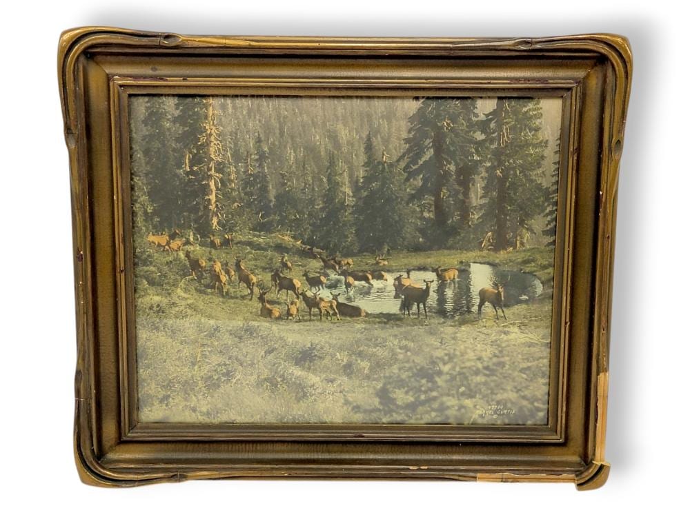Asahel Curtis comparable auction result: asahel curtis deer in olympic national park antique photograph