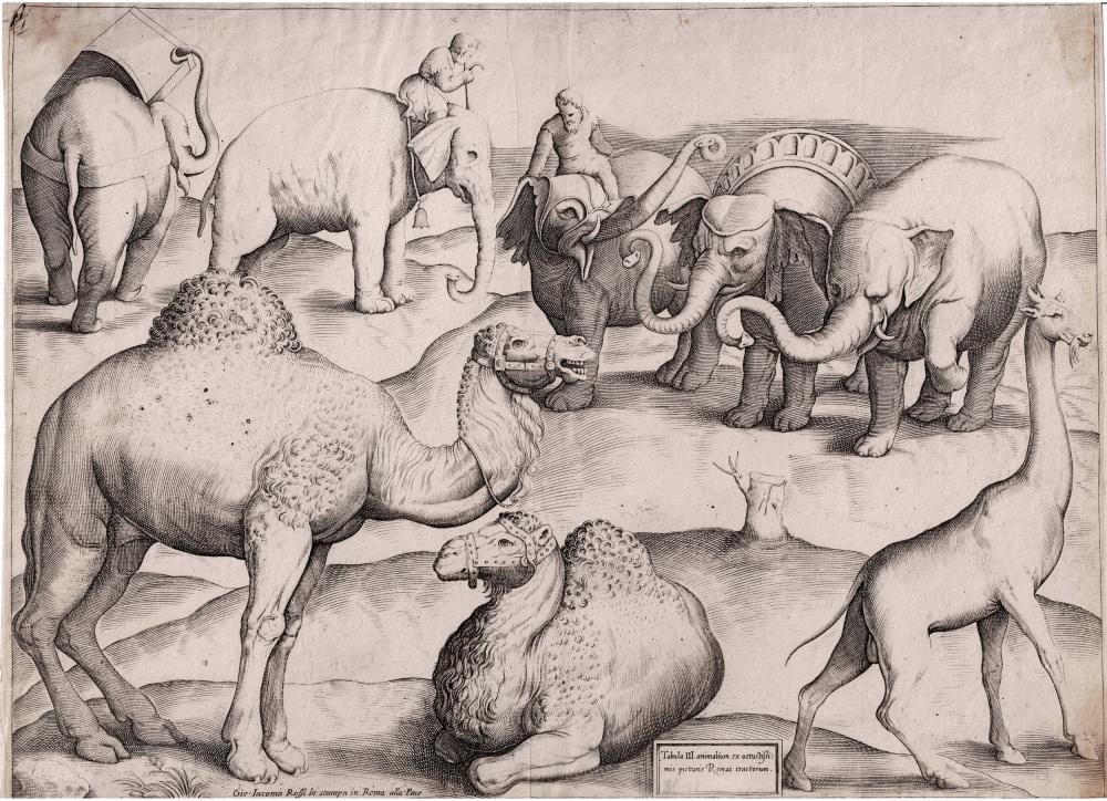 Enea Vico comparable auction result: enea vico 8 animals five elephants two dromedaries and a giraffe