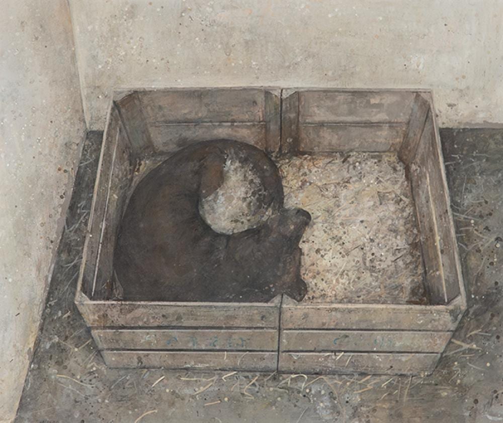 Florencio Galindo comparable auction result: florencio galindo sleeping dog